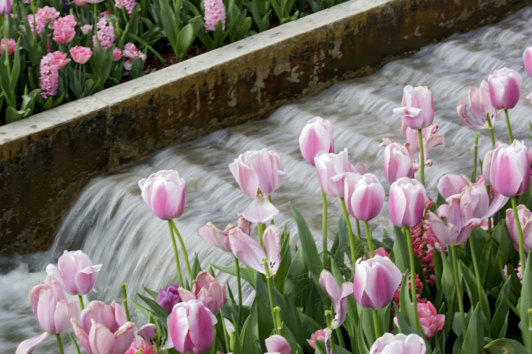 Tulsa Botanic Garden